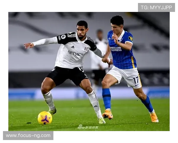 英超布莱顿俱乐部崛起之路与海鸥精神全景解析及未来发展蓝图探讨