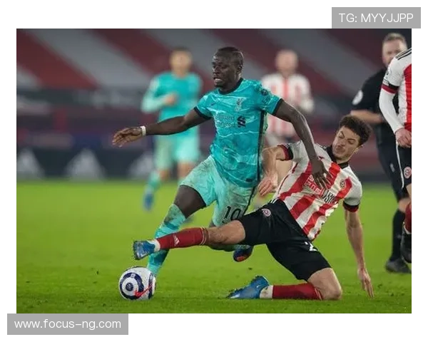 谢菲联足球俱乐部历史发展与成就分析及未来展望