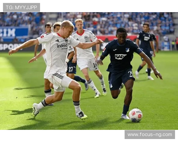 霍芬海姆1899俱乐部的崛起之路与德甲梦想全景纪实传奇篇章探索